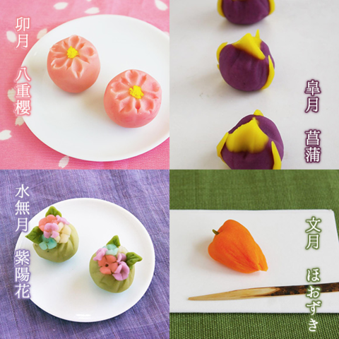 かわいい紫陽花の練り切りに挑戦！季節の和菓子作り１DAYレッスン