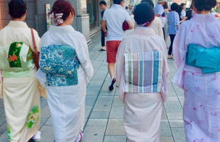 大学生着物サークル「東京和蒼会」 💖活動見学のお知らせ💖