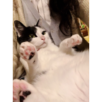 ちゃこ