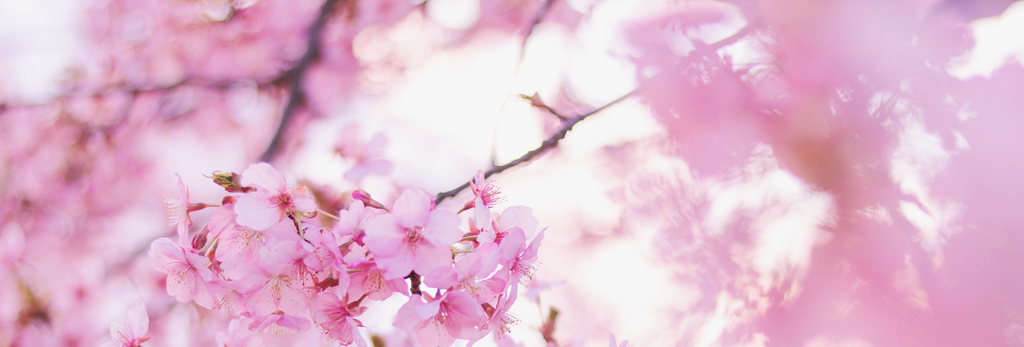 華和遊衣∞きもの