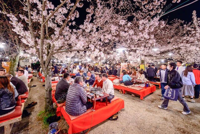 SakuraFest at the JCCC2025