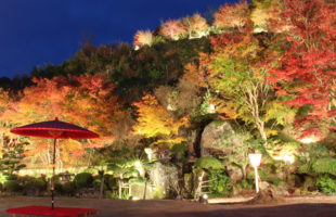 京都の絶景を楽しむ夜紅葉！期間限定ライトアップを11月に開催♫