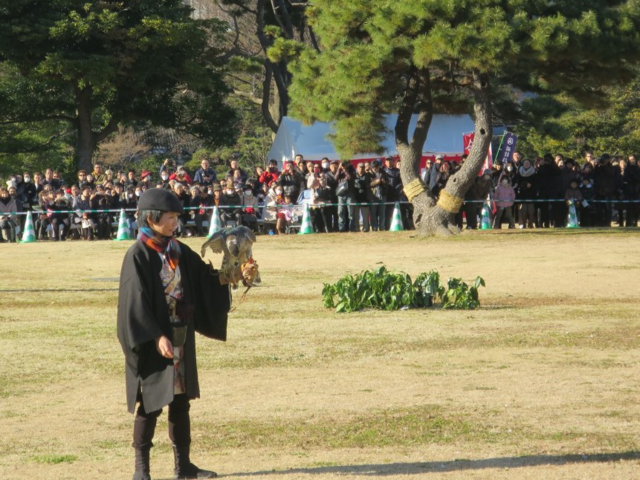 伝統ある鷹狩の技・羽根つきなど、お正月遊びを楽しもう｜浜離宮恩賜庭園