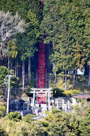 日本一！118段の雛飾り♡伊豆稲取温泉「素盞鳴神社雛段飾り」や雛フェスなど開催♪