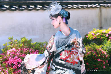 伶伊
