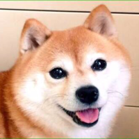 ルミルミ