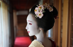 上七軒の街並みに惹かれ、憧れの舞妓に　上七軒・さと葉さん 「令和の芸舞妓図鑑」