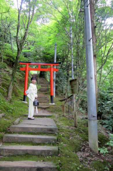 「福田エレガンス」